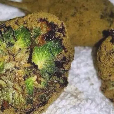 buy weed online | moon rock drug